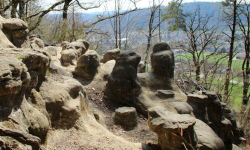 Gruppe der diapirartigen Sandstein-“Chöpfi” bei Winterthur in der Schweiz. Bild: Adrian Michael, CC BY-SA 1.0-Lizenz.