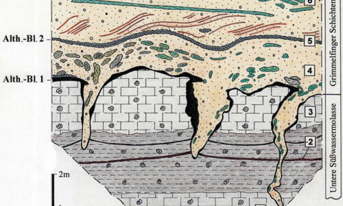 Geol. Sit. Basis der Sandgrube Altheim-Breitenlauh (Alb-Donau-Kreis) mit den fossilführenden Horizonten Altheim-Breitenlauh 1 ("Alth.-Bl. 1"; USM u. Altheim-Breitenlauh 2 ("Alth.-Bl. 2"; Grimmelfinger Schichten). Profilaufn. u. Zeichnung: V. J. Sach, 1999