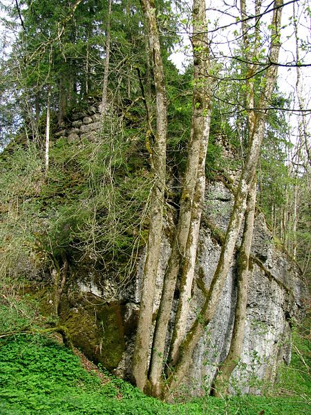 files/tl_filesOPO/Beitraege/Ruine_Baltenstein.jpg