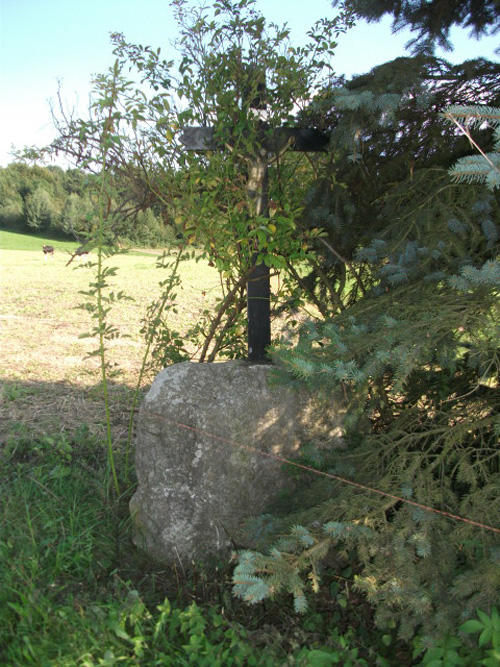 files/tl_filesOPO/Beitraege/opo_Blaser_Bilder/opo_WKa9.jpg
